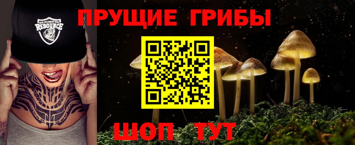 Галлюциногенные грибы Psilocybe  Вход с VPN  Алексеевка  Псилоцибиновые грибы GOLDEN TEACHER 