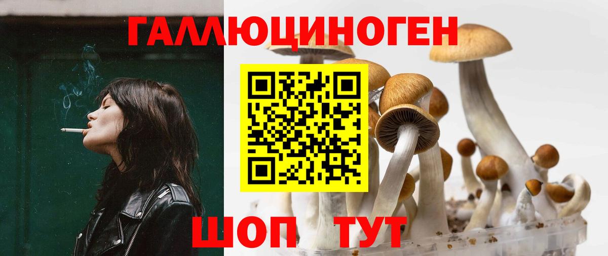 Псилоцибиновые грибы ЛСД Алексеевка